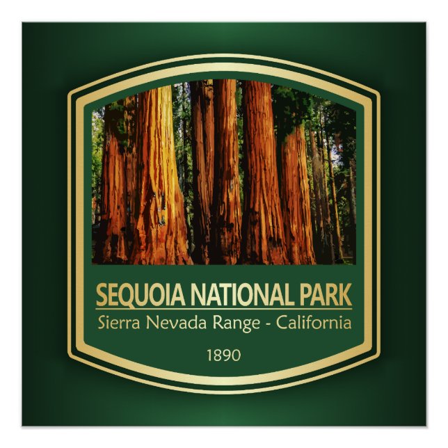 Sequoia NP (PF1) Poster (Front)