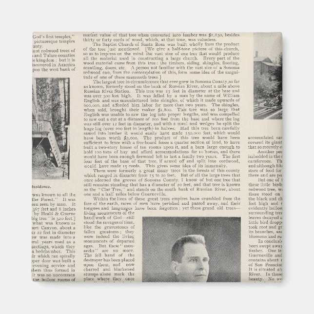 Sequoia of Sonoma, California Magnet (Front)