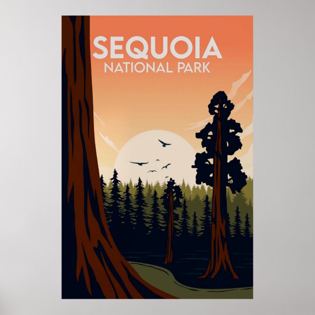Sequoia Poster (Front)