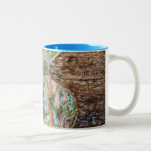 Sequoia Redwoods Two-Tone Coffee Mug (Right)