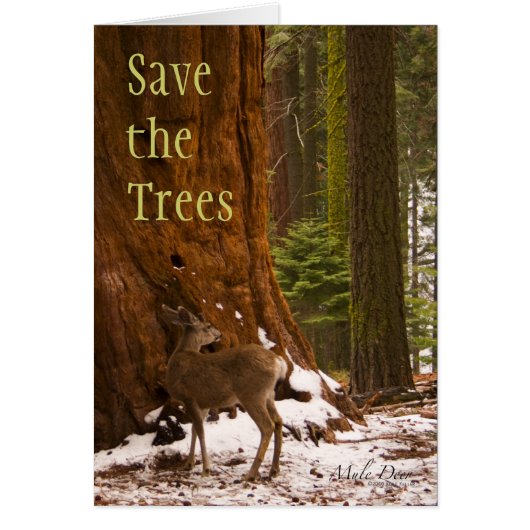 Sequoia, Save the Trees Cards (Front)