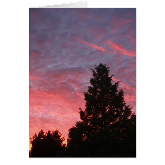 Sequoia Sunrise Cards (Front)