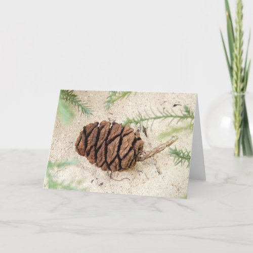 Sequoia Tree Cone on Sandy Ground Card
