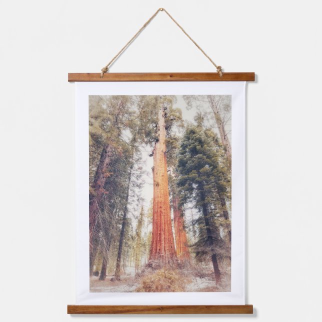 Sequoia Tree Hanging Tapestry (Front)