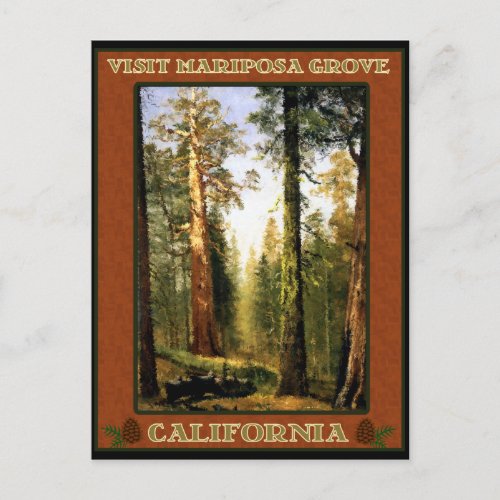 Sequoia Trees at Mariposa Grove Postcard