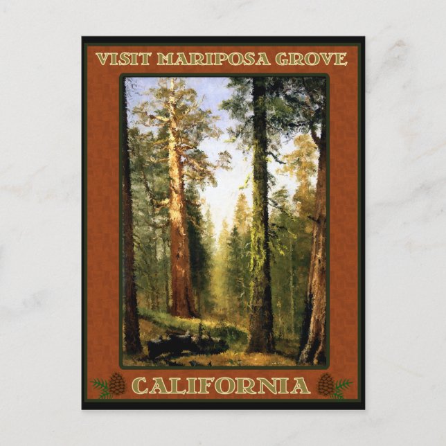 Sequoia Trees at Mariposa Grove Postcard (Front)
