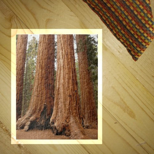 Sequoia Trees Sequoia National Park California  Jigsaw Puzzle