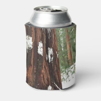 Sequoias Covered in Snow, Kings Canyon and Sequoia Can Cooler