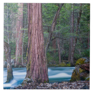 Sequoias & Merced River Yosemite National Park, CA Ceramic Tile
