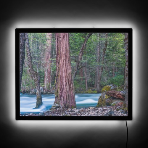 Sequoias  Merced River Yosemite National Park CA LED Sign