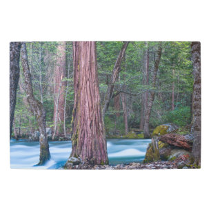 Sequoias & Merced River Yosemite National Park, CA Metal Print