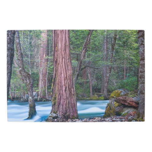 Sequoias  Merced River Yosemite National Park CA Metal Print