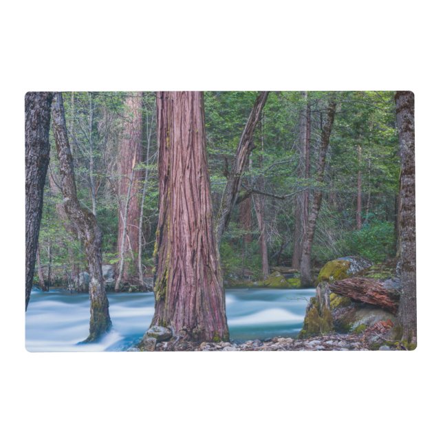 Sequoias & Merced River Yosemite National Park, CA Placemat (Front)