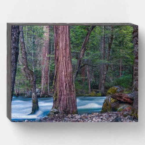 Sequoias  Merced River Yosemite National Park CA Wooden Box Sign