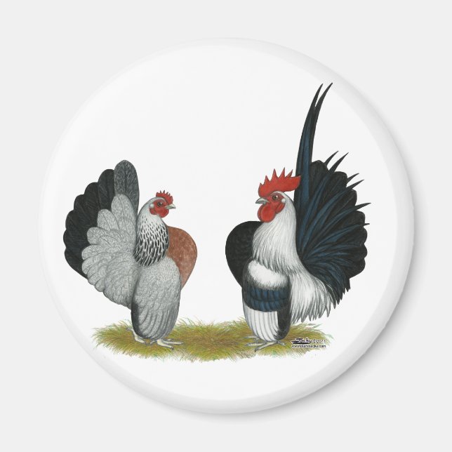 Serama Bantams Magnet (Front)