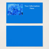 Seraphine (Front & Back)