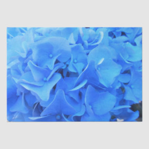 Seraphine Tissue Paper