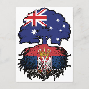 Serbia Serbian Australian Australia Tree Roots Postcard