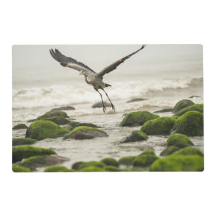 Serena Cove 3 Placemat