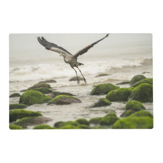 Serena Cove 3 Placemat