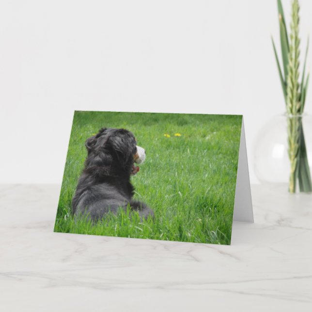 Serena in the Sun Card (Front)