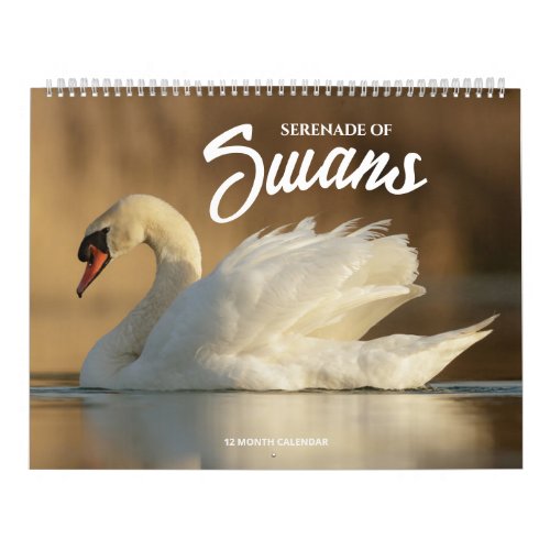 Serenade of Swans Calendar