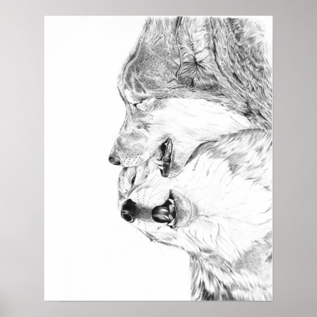 Serenade Poster (Front)