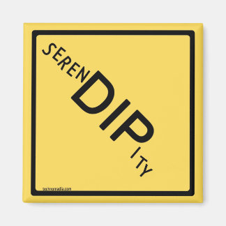 serenDIPity Magnet - $25