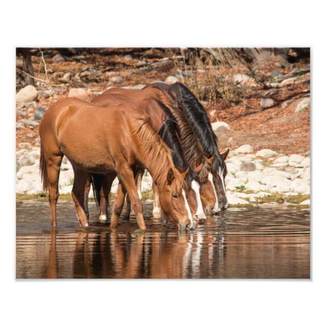 Serendipity Photo Print (Front)