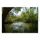 serene (Front Horizontal)