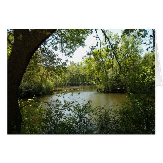 serene (Front Horizontal)