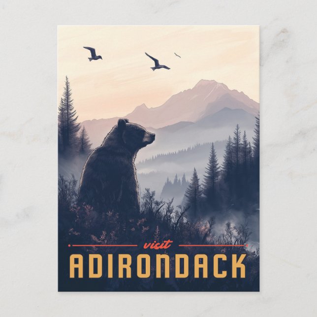 Serene Adirondack Bear: A Vintage Postcard (Front)