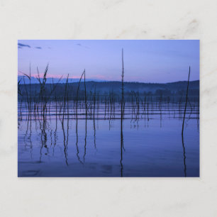 Serene and misty lake after heavy rain postcard