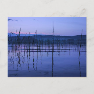 Serene and misty lake after heavy rain postcard