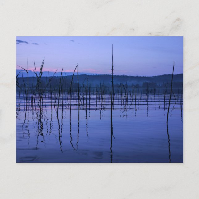 Serene and misty lake after heavy rain postcard (Front)