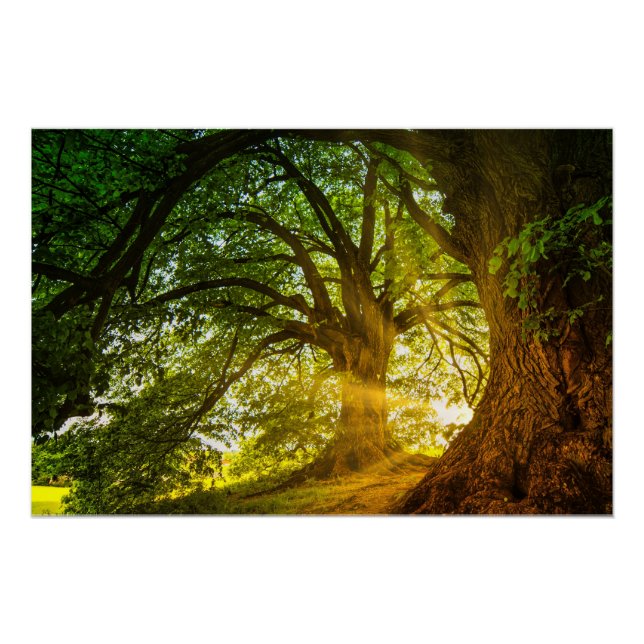 serene atmosphere poster (Front)