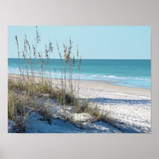 Serene Beach with Sea Oats and Blue Water Poster