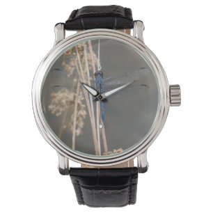 Serene Blue Dragonfly   Ethereal Nature Photograph Watch