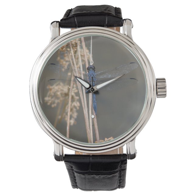 Serene Blue Dragonfly | Ethereal Nature Photograph Watch (Front)