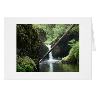 Serene Cards