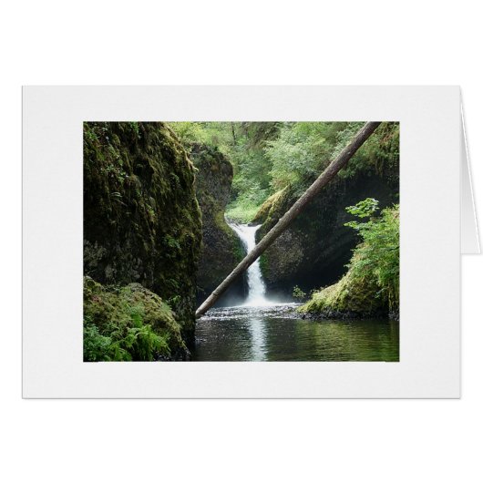 Serene Cards (Front Horizontal)