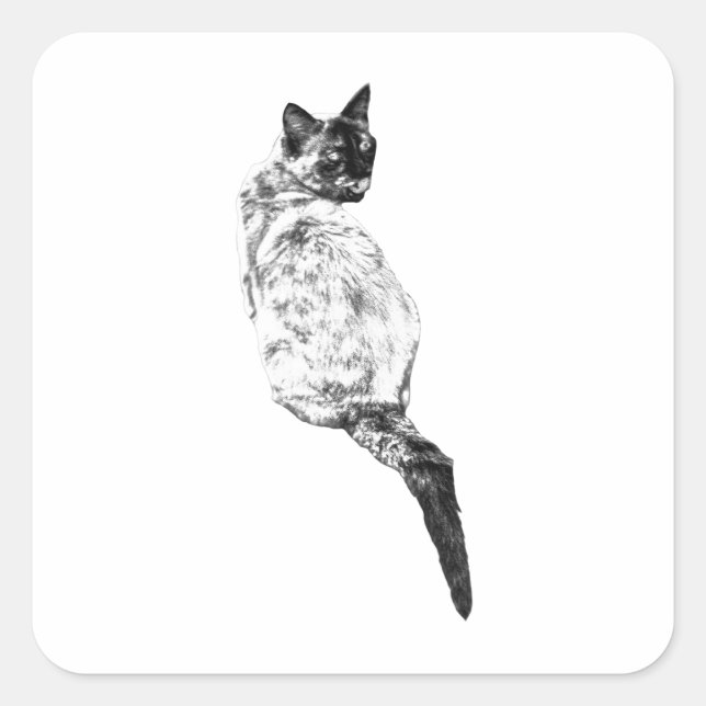 Serene Cat Grooming Design Square Sticker (Front)