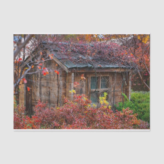 Serene Fall Cabin Surrounded with Flowers Tissue Paper (Front)
