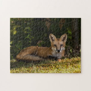 Serene Fox   Jigsaw Puzzle