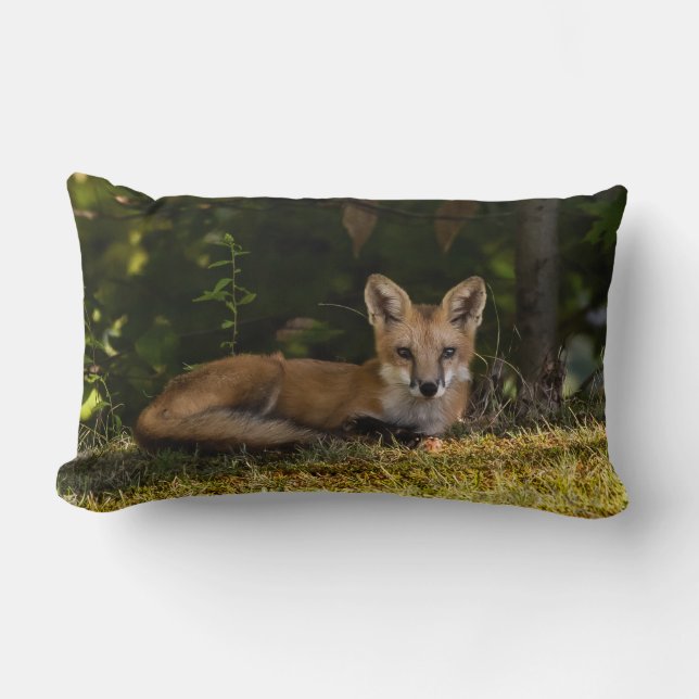 Serene Fox  Lumbar Pillow (Front)