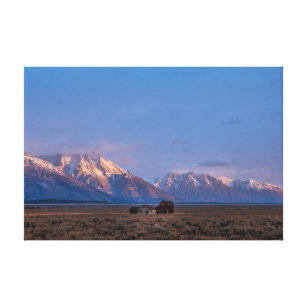 Serene Grand Teton Open Prairie Canvas Print
