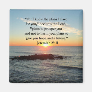 SERENE JEREMIAH 29:11 SUNRISE MAGNET