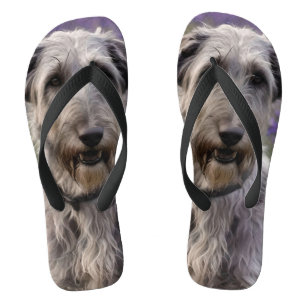 Serene Majesty: Wolfhound Sitting in a Purple Iris Flip Flops