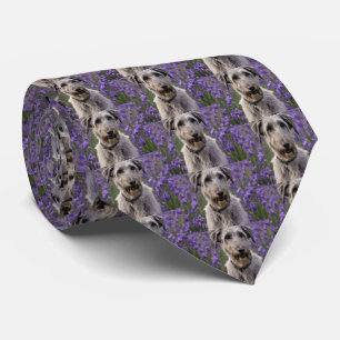 Serene Majesty: Wolfhound Sitting in a Purple Iris Neck Tie