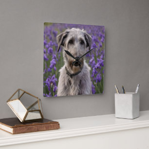 Serene Majesty: Wolfhound Sitting in a Purple Iris Square Wall Clock